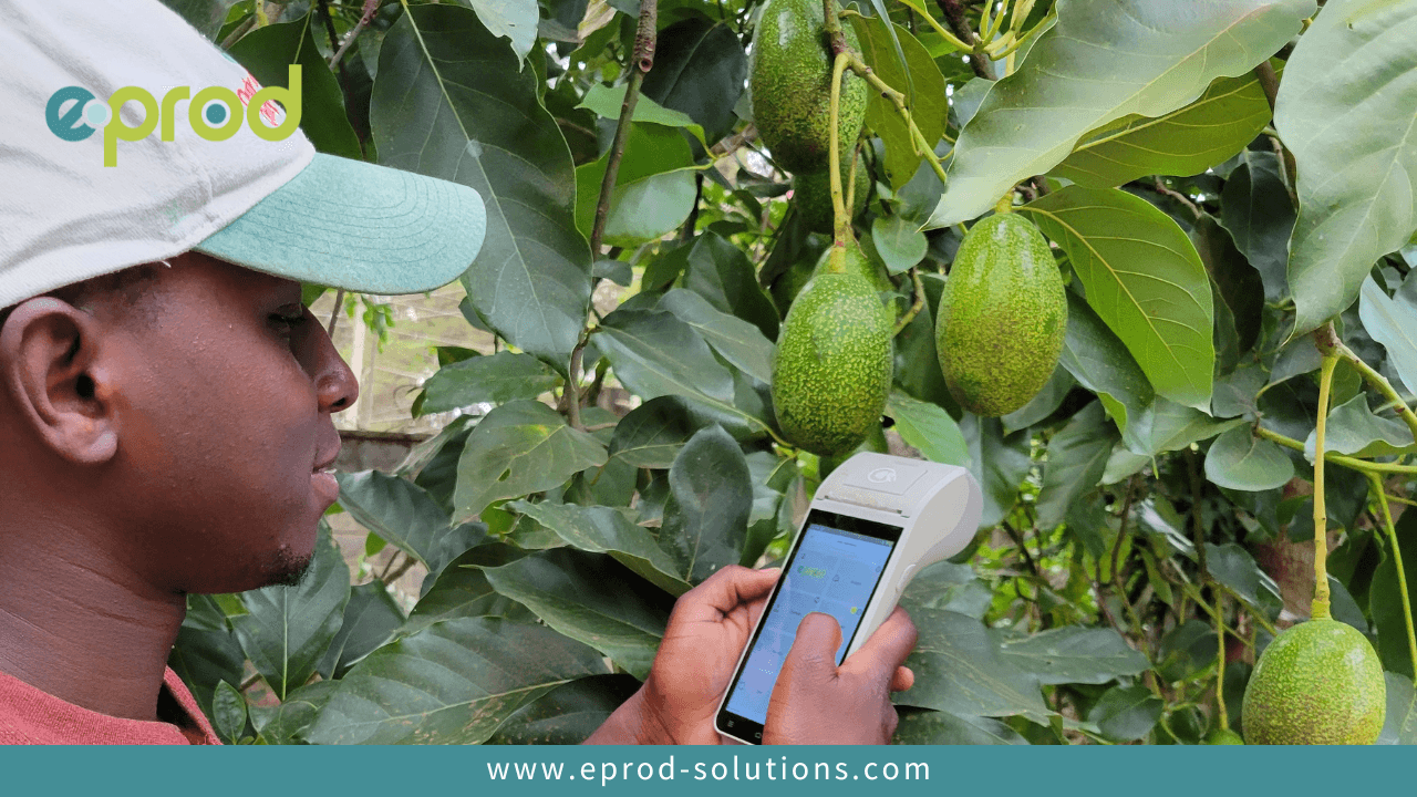 Digital Supply Chain Software for Managing Smallholder Farmers in Africa
